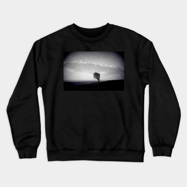 Windblown ( a windblown tree) Crewneck Sweatshirt by rosedew